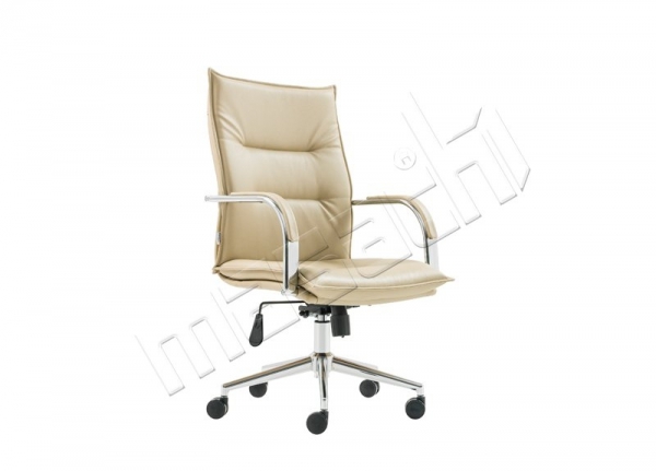 Fiesta Yönetici Koltuğu