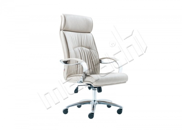 Nevada Makam Koltuğu